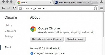 Google Chrome Flash Player Download